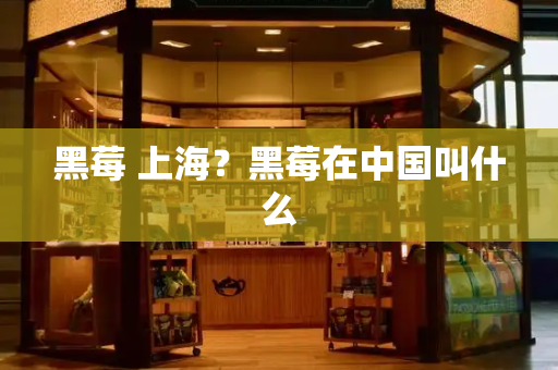 黑莓 上海？黑莓在中国叫什么