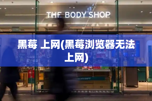 黑莓 上网(黑莓浏览器无法上网)