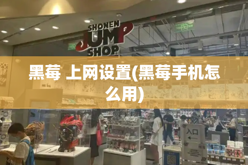 黑莓 上网设置(黑莓手机怎么用)-第1张图片-星选测评