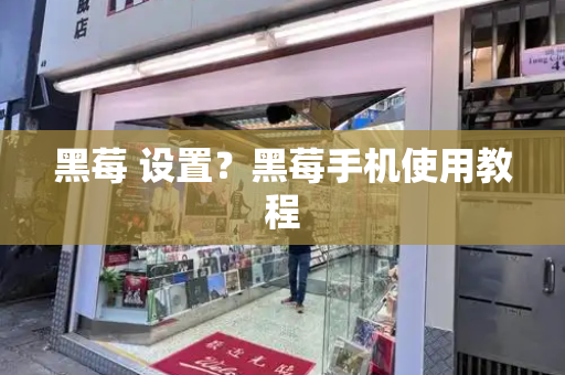 黑莓 设置？黑莓手机使用教程