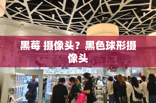 黑莓 摄像头？黑色球形摄像头