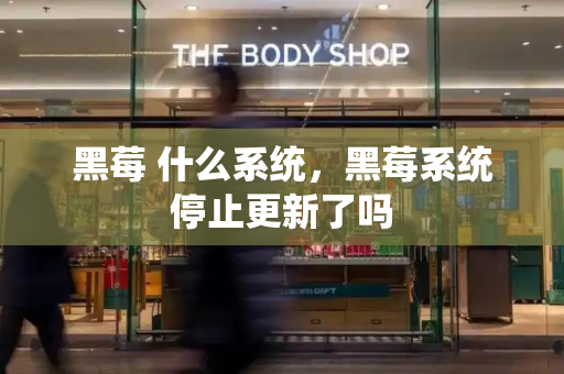 黑莓 什么系统，黑莓系统停止更新了吗-第1张图片-星选测评