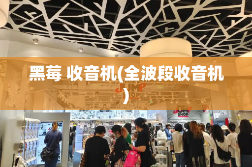 黑莓 收音机(全波段收音机)-第1张图片-星选测评