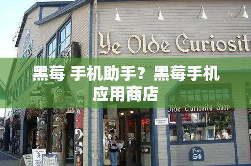 黑莓 手机助手？黑莓手机应用商店-第1张图片-星选测评