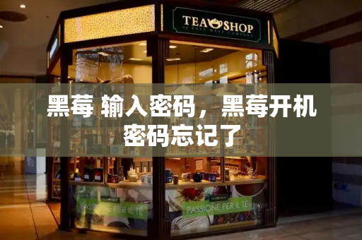 黑莓 输入密码，黑莓开机密码忘记了-第1张图片-星选测评