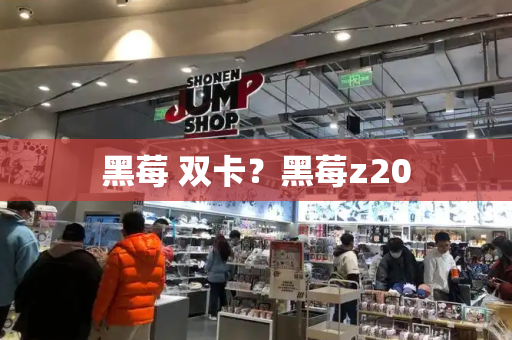 黑莓 双卡？黑莓z20-第1张图片-星选测评