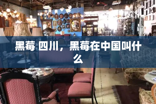 黑莓 四川，黑莓在中国叫什么-第1张图片-星选测评