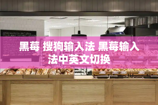黑莓 搜狗输入法 黑莓输入法中英文切换