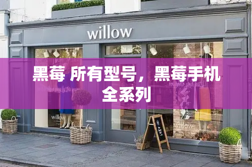 黑莓 所有型号，黑莓手机全系列