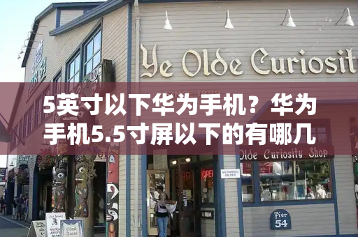 5英寸以下华为手机？华为手机5.5寸屏以下的有哪几款-第1张图片-星选测评