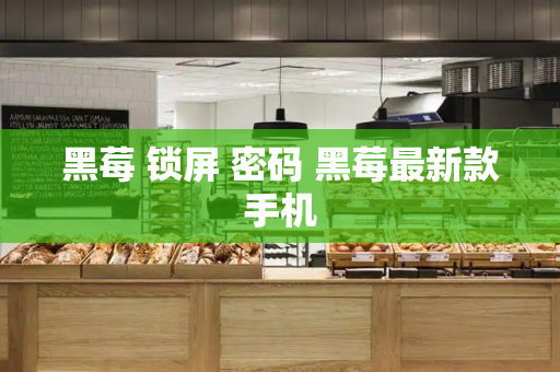 黑莓 锁屏 密码 黑莓最新款手机