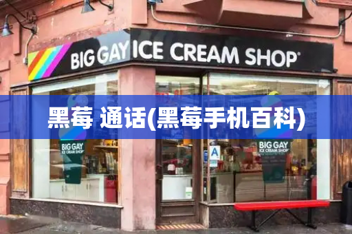 黑莓 通话(黑莓手机百科)