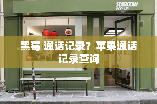 黑莓 通话记录？苹果通话记录查询
