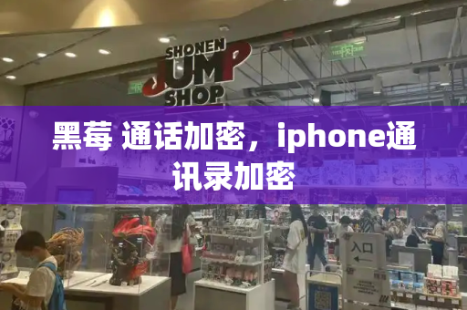 黑莓 通话加密，iphone通讯录加密-第1张图片-星选测评
