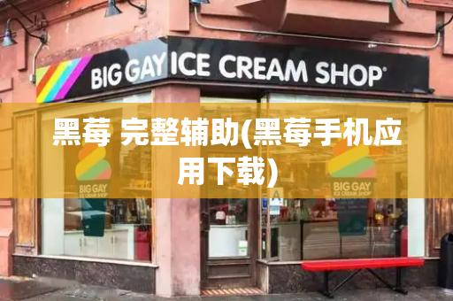 黑莓 完整辅助(黑莓手机应用下载)