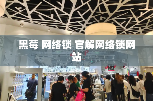 黑莓 网络锁 官解网络锁网站-第1张图片-星选测评