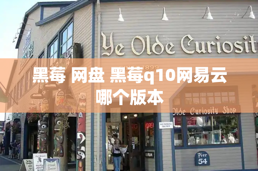 黑莓 网盘 黑莓q10网易云哪个版本-第1张图片-星选测评