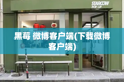黑莓 微博客户端(下载微博客户端)