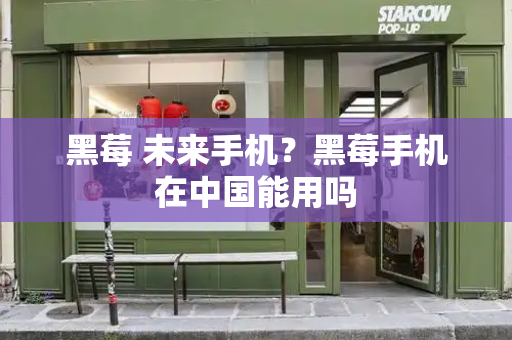 黑莓 未来手机？黑莓手机在中国能用吗-第1张图片-星选测评