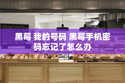 黑莓 我的号码 黑莓手机密码忘记了怎么办
