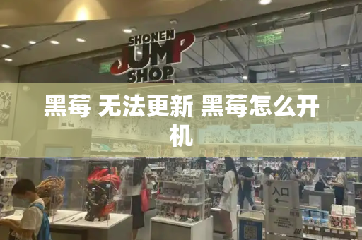 黑莓 无法更新 黑莓怎么开机-第1张图片-星选测评