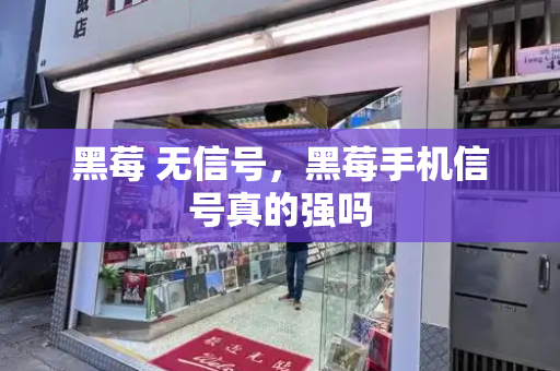黑莓 无信号，黑莓手机信号真的强吗-第1张图片-星选测评