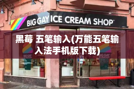 黑莓 五笔输入(万能五笔输入法手机版下载)