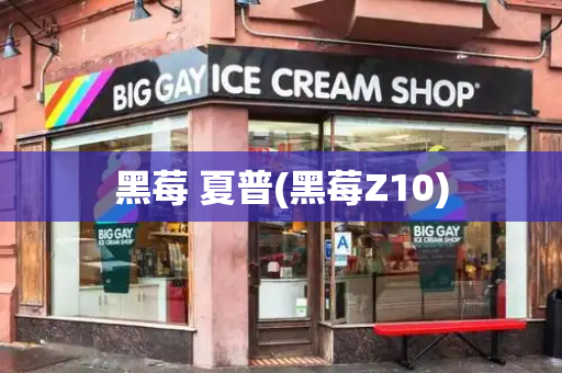 黑莓 夏普(黑莓Z10)-第1张图片-星选测评