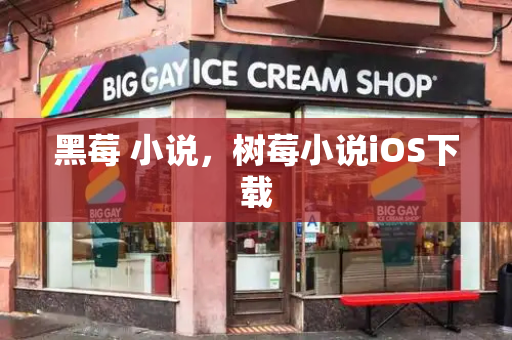 黑莓 小说，树莓小说iOS下载