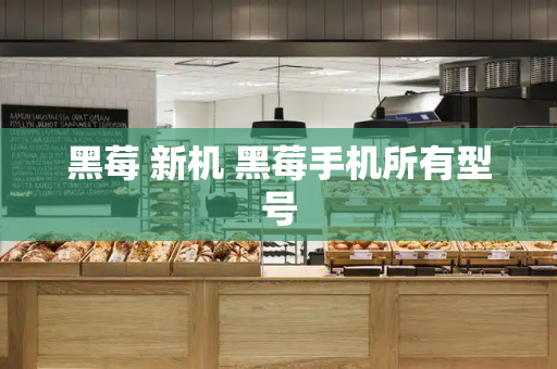 黑莓 新机 黑莓手机所有型号