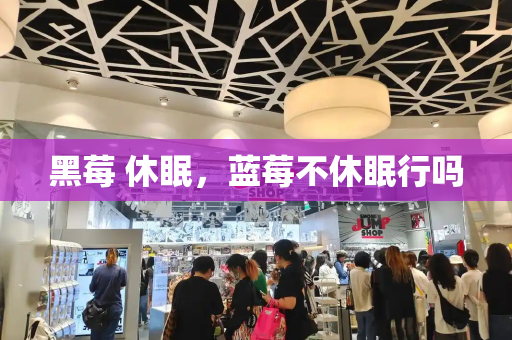 黑莓 休眠，蓝莓不休眠行吗