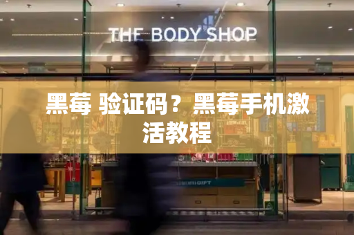 黑莓 验证码？黑莓手机激活教程