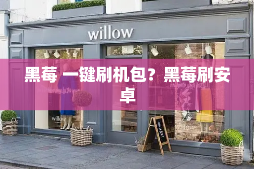 黑莓 一键刷机包？黑莓刷安卓