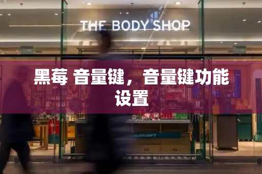 黑莓 音量键，音量键功能设置-第1张图片-星选测评