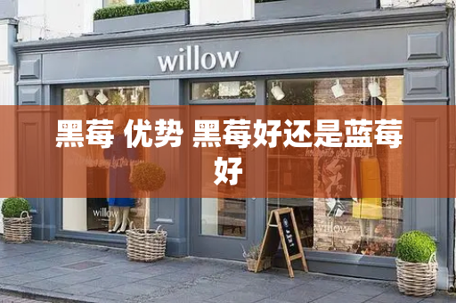 黑莓 优势 黑莓好还是蓝莓好