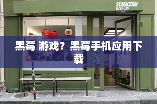 黑莓 游戏？黑莓手机应用下载
