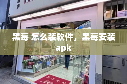 黑莓 怎么装软件，黑莓安装apk-第1张图片-星选测评