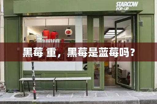 黑莓 重，黑莓是蓝莓吗？-第1张图片-星选测评