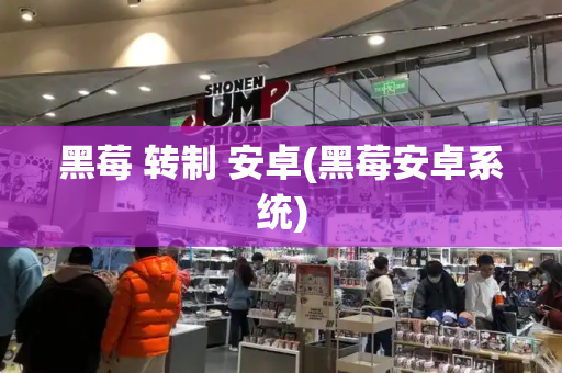 黑莓 转制 安卓(黑莓安卓系统)