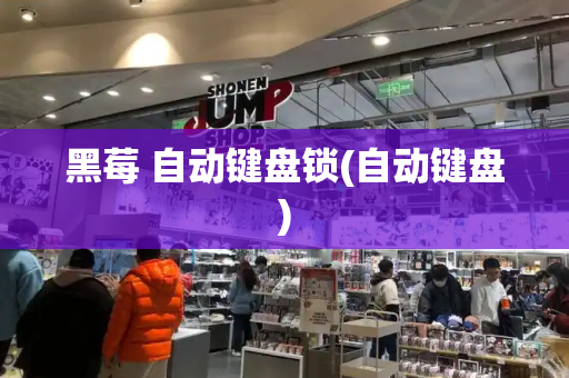 黑莓 自动键盘锁(自动键盘)