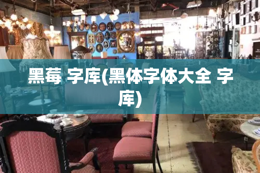 黑莓 字库(黑体字体大全 字库)