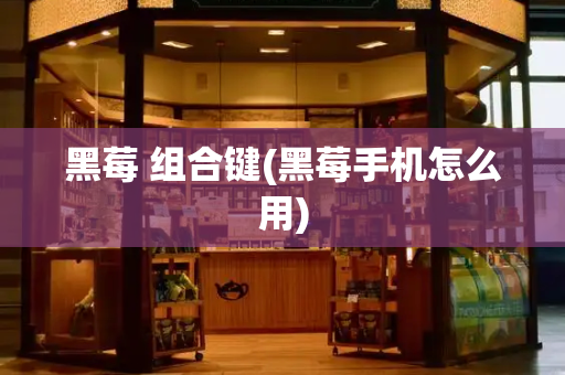黑莓 组合键(黑莓手机怎么用)-第1张图片-星选测评