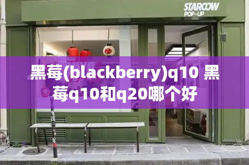 黑莓(blackberry)q10 黑莓q10和q20哪个好-第1张图片-星选测评