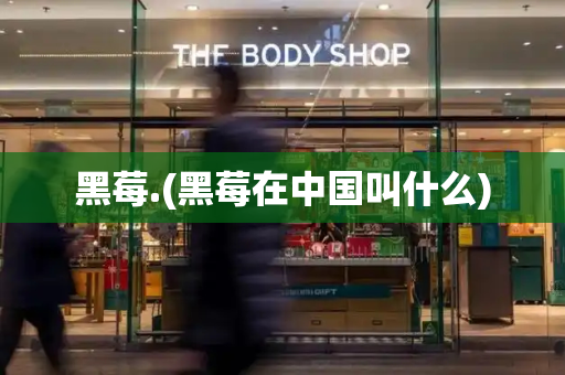 黑莓.(黑莓在中国叫什么)-第1张图片-星选测评