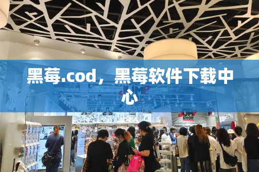 黑莓.cod，黑莓软件下载中心