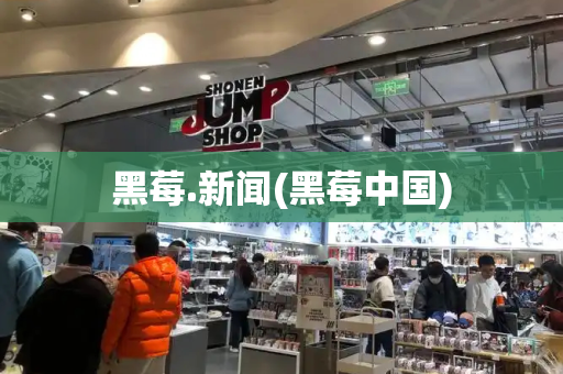 黑莓.新闻(黑莓中国)
