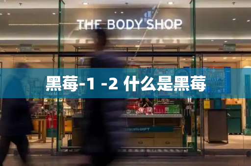 黑莓-1 -2 什么是黑莓
