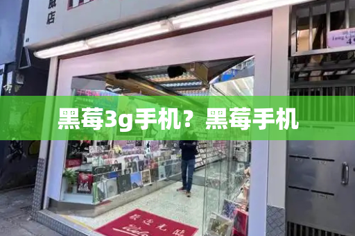 黑莓3g手机？黑莓手机-第1张图片-星选测评