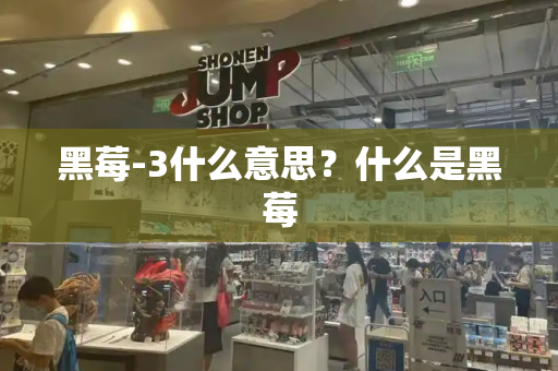 黑莓-3什么意思？什么是黑莓-第1张图片-星选测评