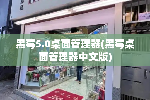黑莓5.0桌面管理器(黑莓桌面管理器中文版)